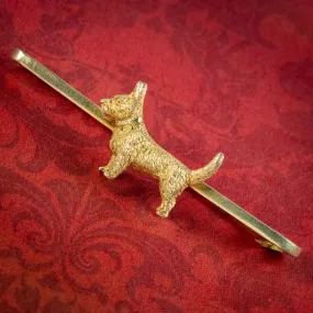 Antique Victorian Dog Bar Brooch 15ct Gold Circa 1900