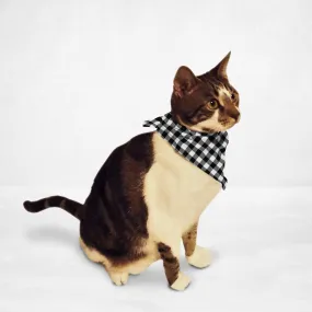 Black & White Cat & Dog Bandana