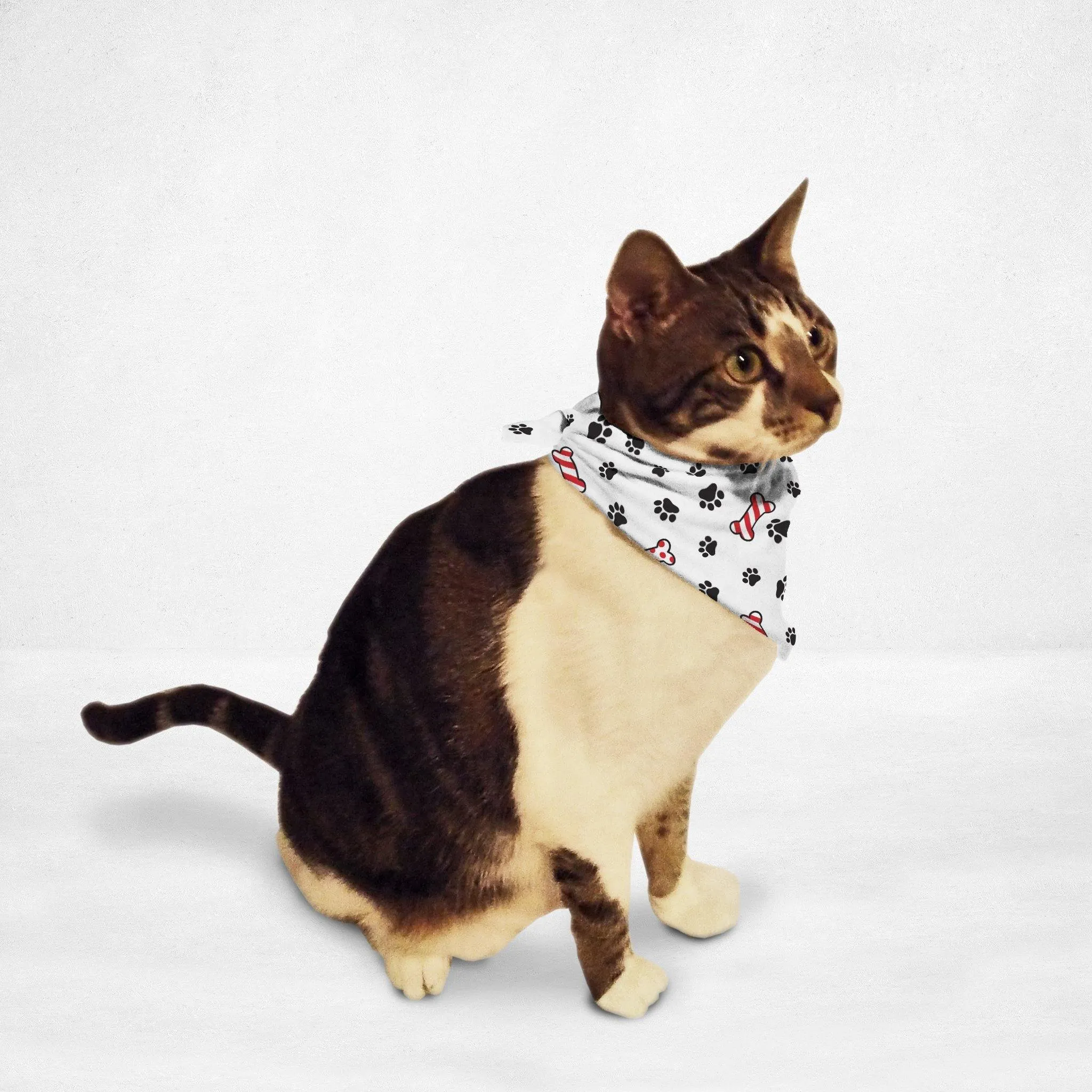 Candy Cane Bones Cat & Dog Bandana