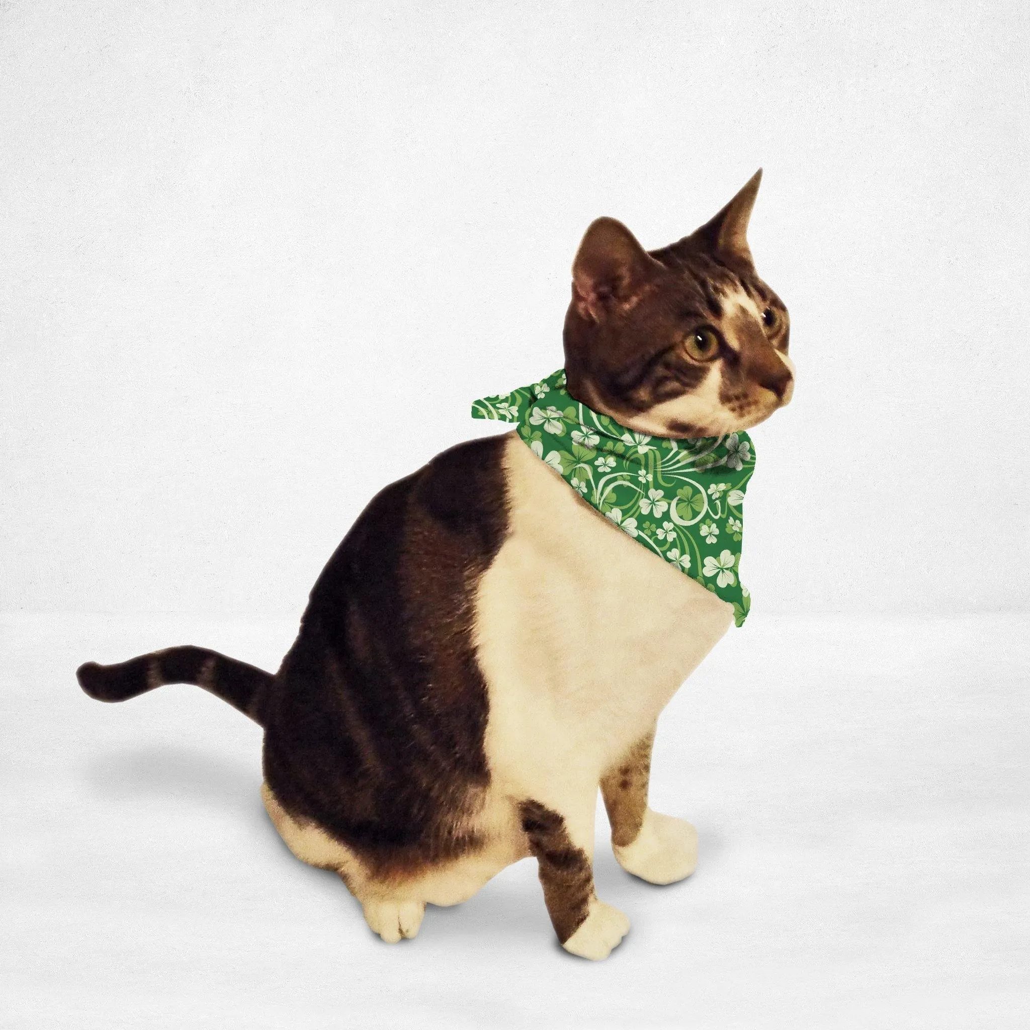 Clover Swirls Cat & Dog Bandana