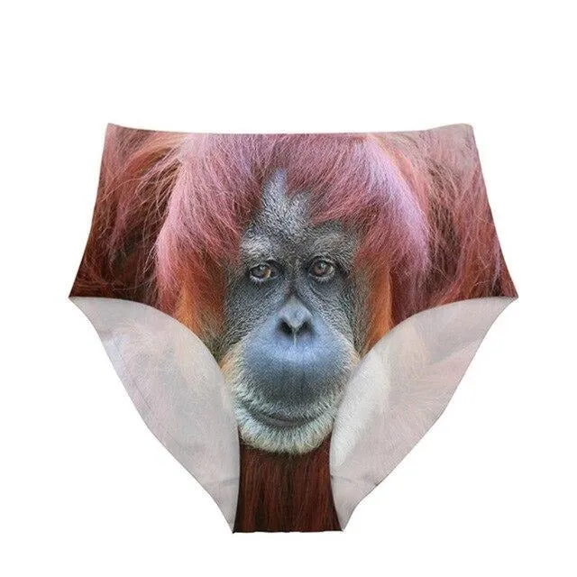 Panda Bear Underwear