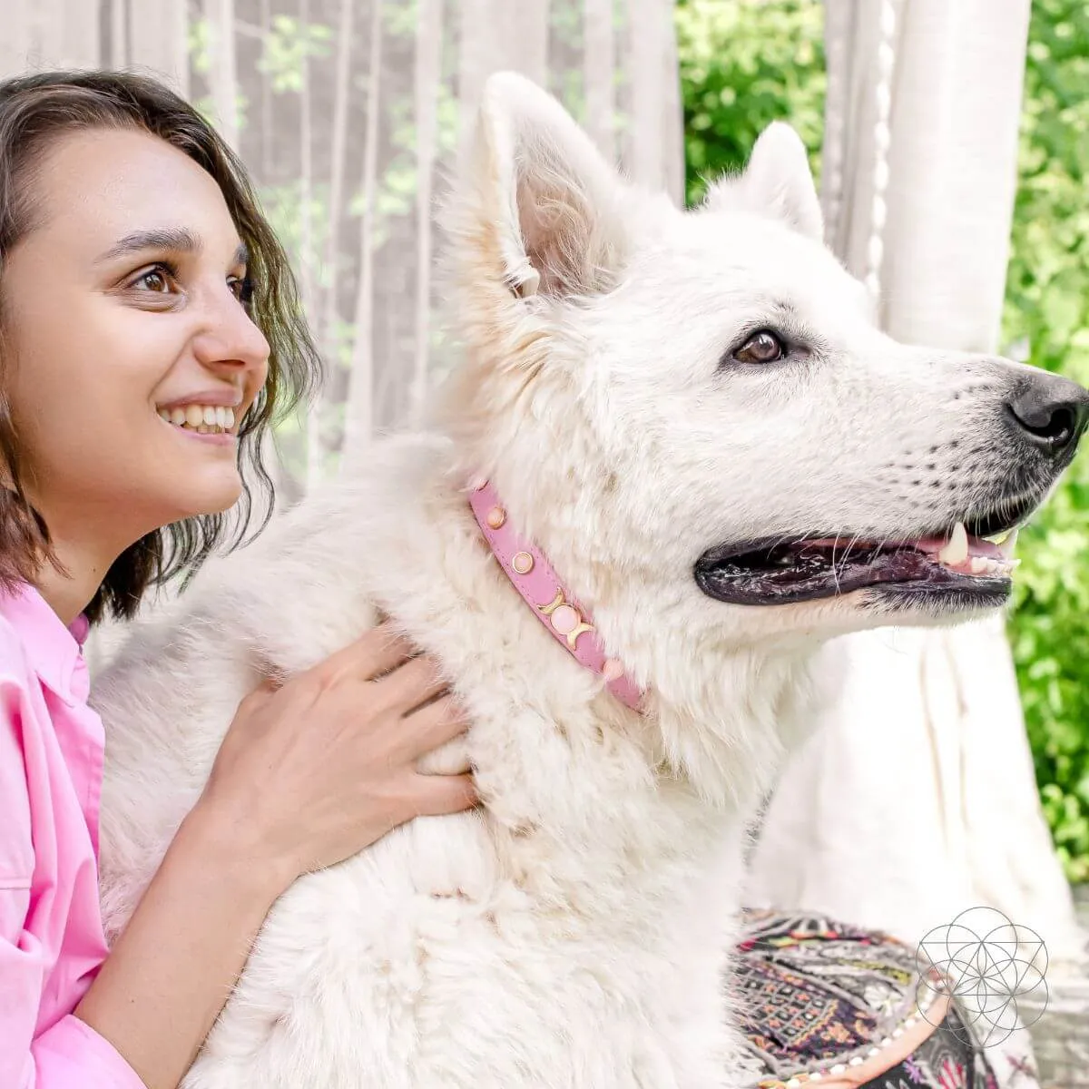 Protect My Pet: Healing Crystal Collars